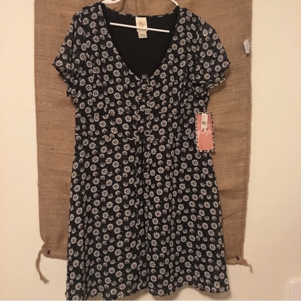 NWT daisy dress
